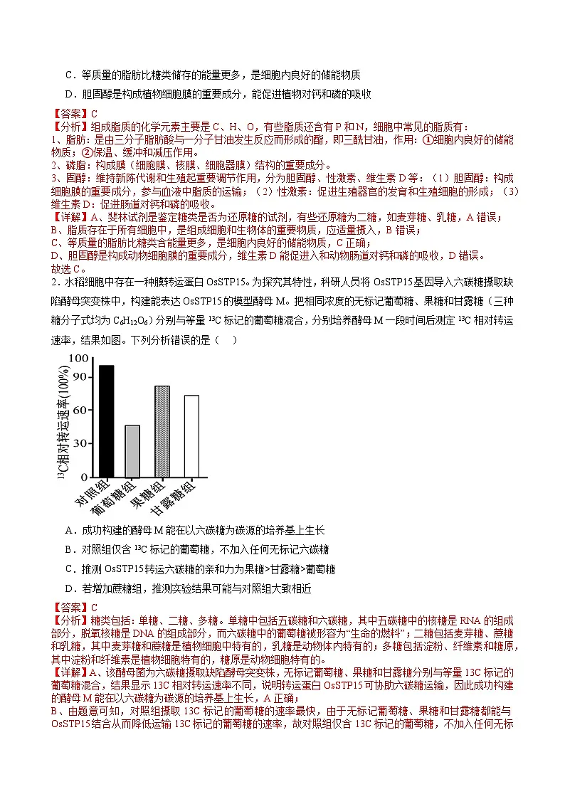 信息必刷卷05（新高考通用）解析版第2页