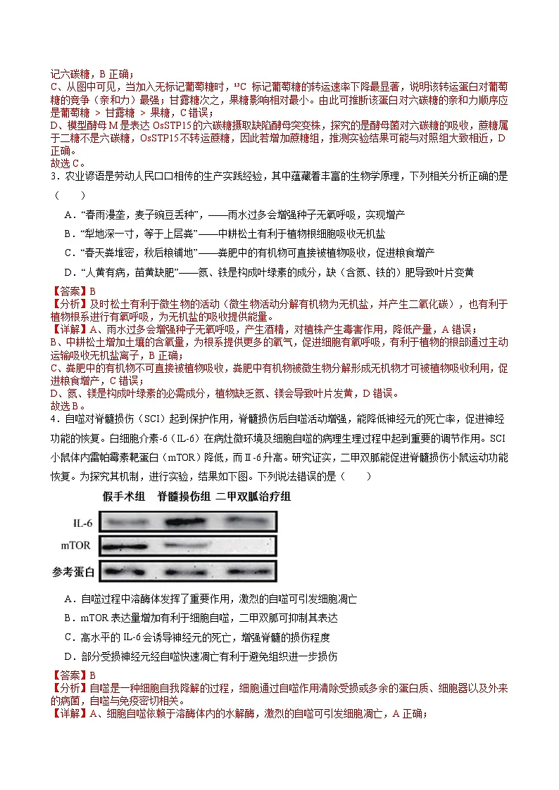 信息必刷卷05（新高考通用）解析版第3页