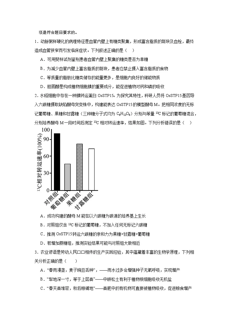 信息必刷卷05（新高考通用）原卷版第2页
