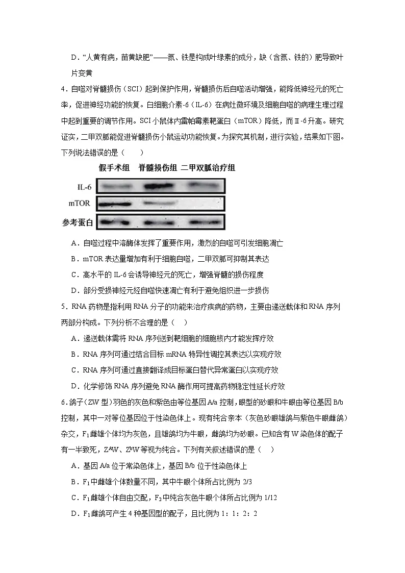 信息必刷卷05（新高考通用）原卷版第3页