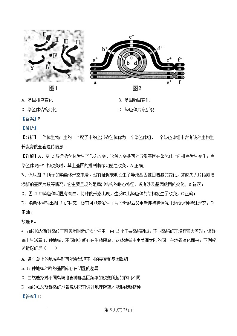浙江省宁波十校2024-2025学年高三下学期3月月考生物试题 Word版含解析第3页