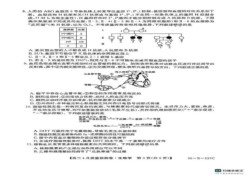 山西省晋中市部分学校2024-2025学年高三下学期4月月考生物试题第2页