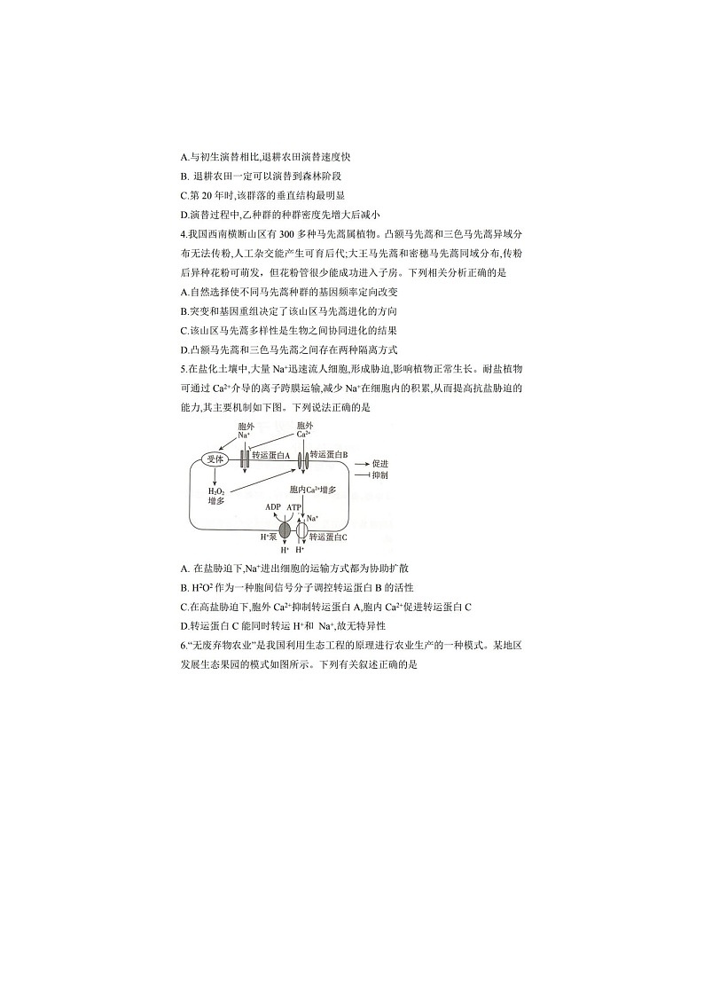 湖南省2025届高考“一起考”大联考4月第二次模拟生物试卷含答案第2页