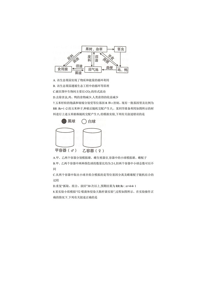 湖南省2025届高考“一起考”大联考4月第二次模拟生物试卷含答案第3页