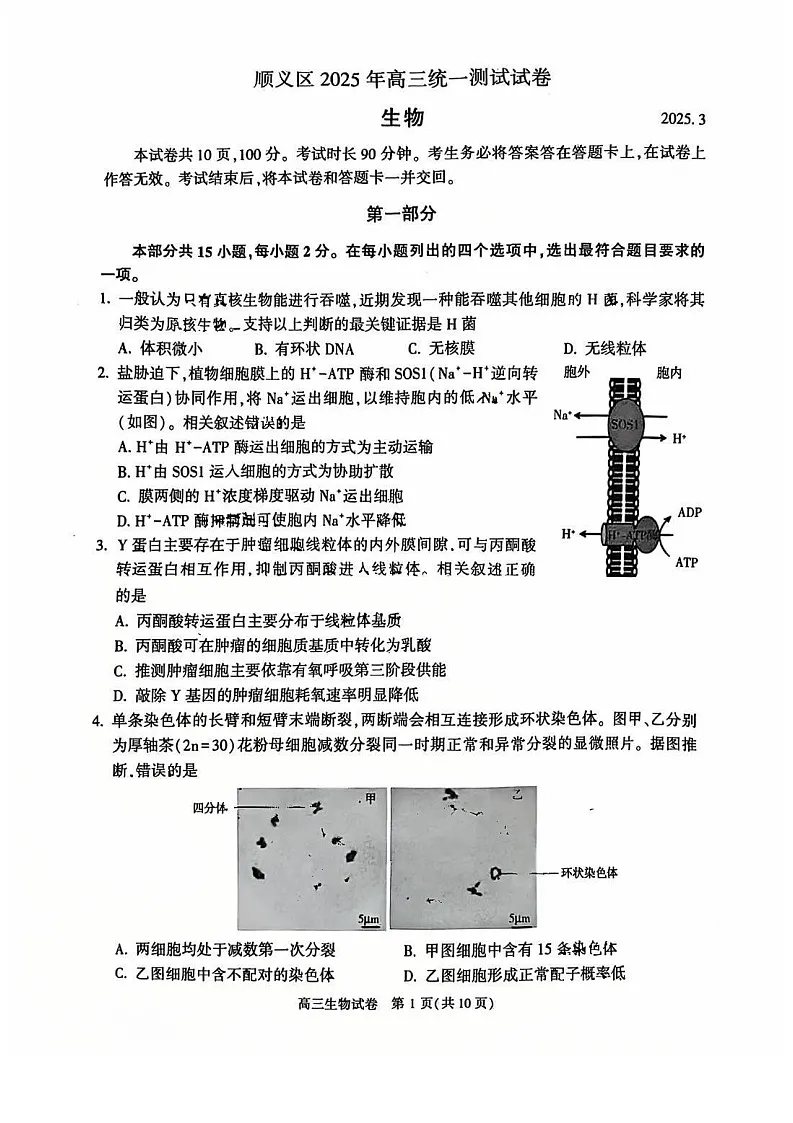 2025北京顺义高三一模生物试题及答案第1页