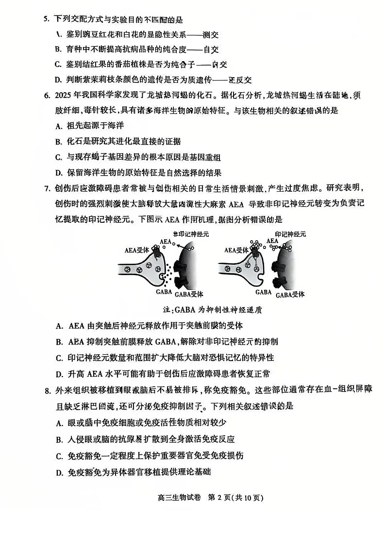 2025北京顺义高三一模生物试题及答案第2页