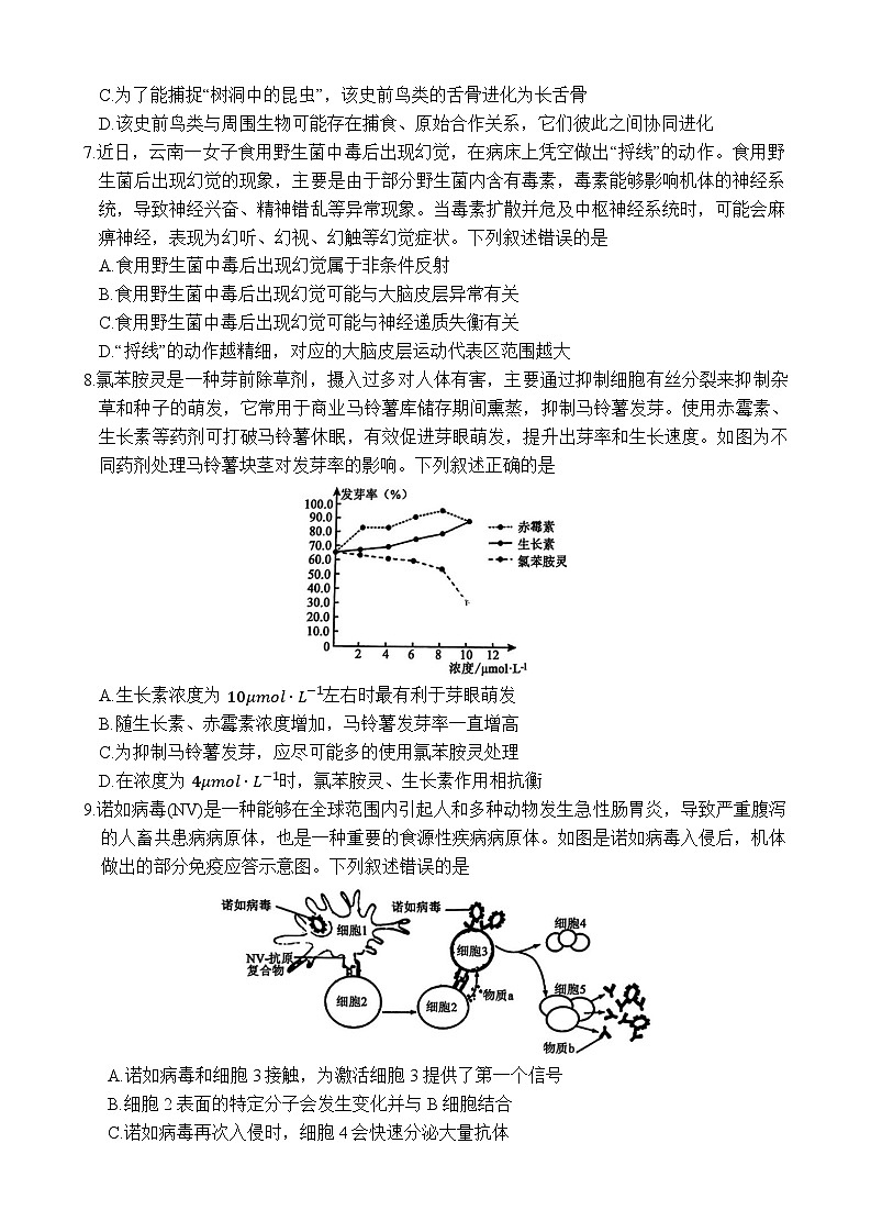 衡水金卷2025届高三下学期4月模拟考试 生物  含答案第3页