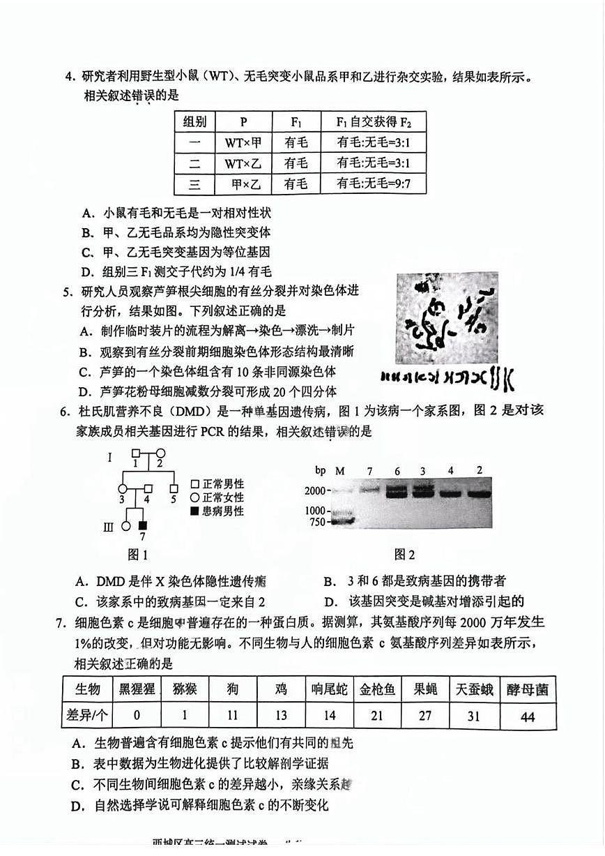2025届北京市西城区高三一模统一测试 生物试题+答案第2页