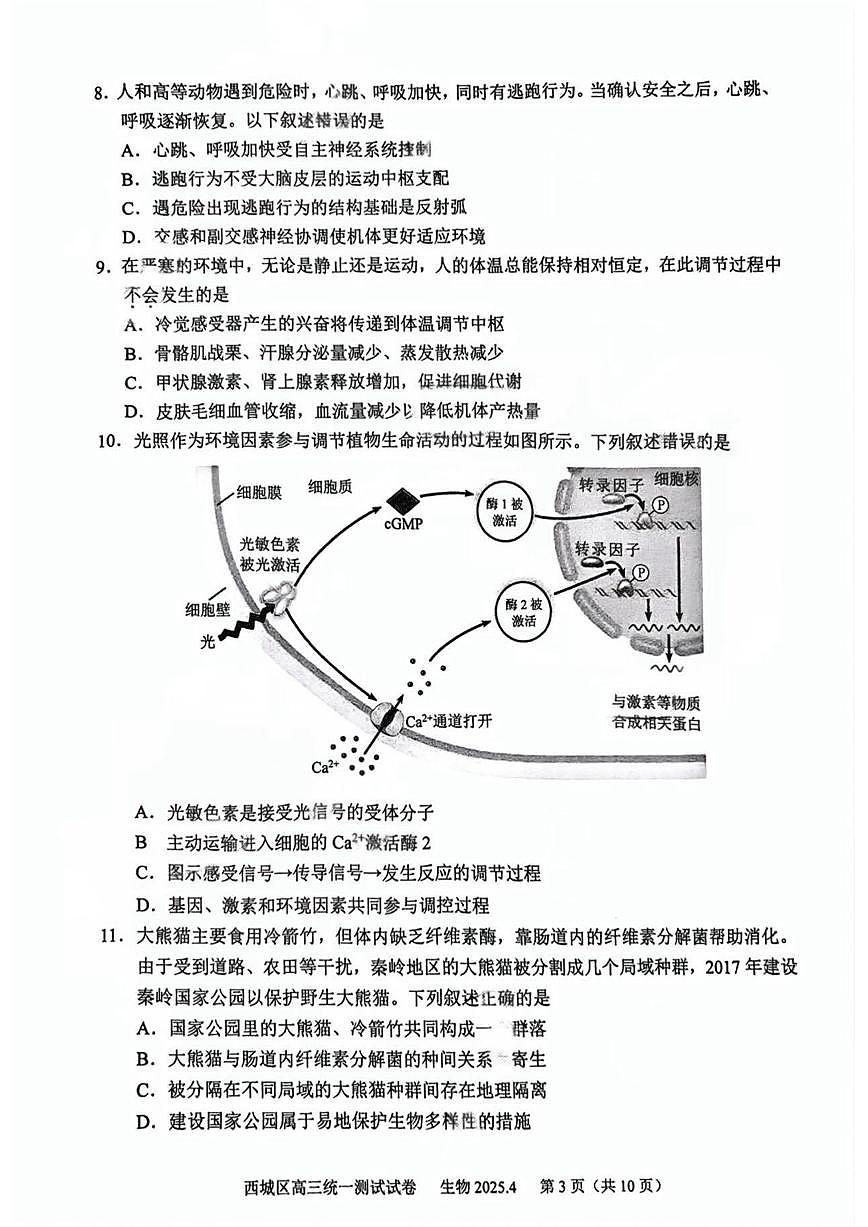 2025届北京市西城区高三一模统一测试 生物试题+答案第3页