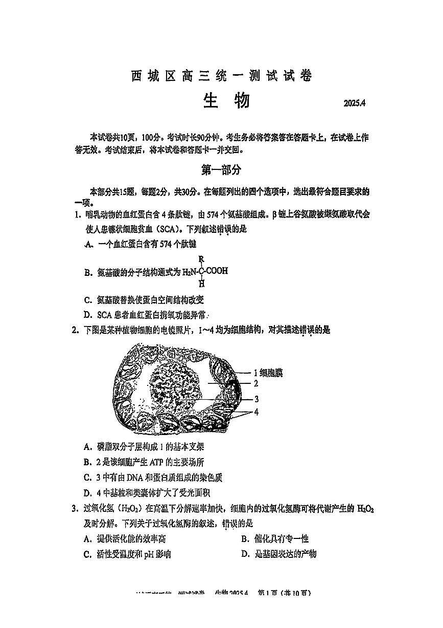 2025北京西城高三一模生物试题及答案第1页