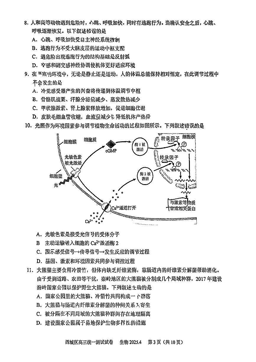 2025北京西城高三一模生物试题及答案第3页