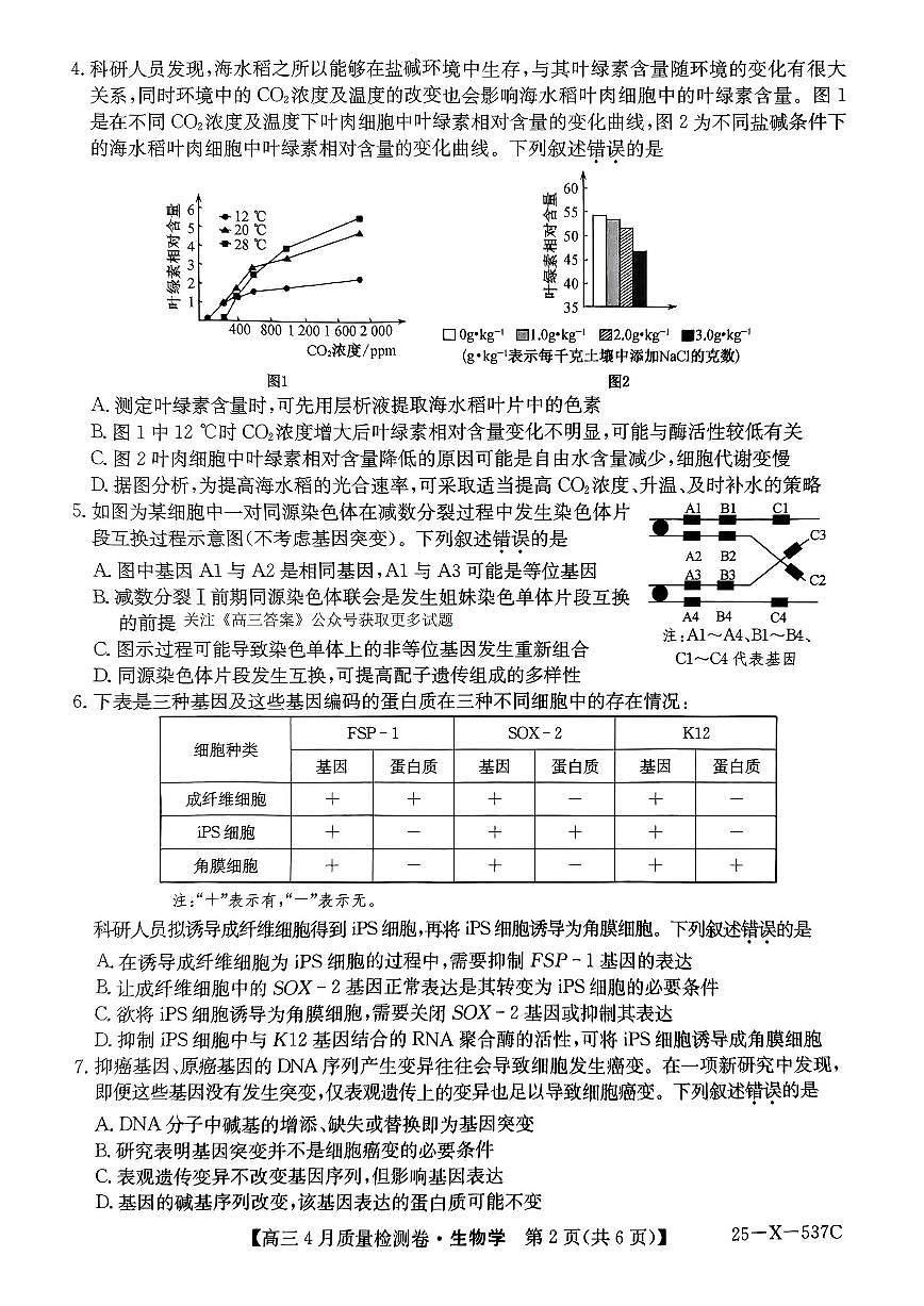 2025年卓越联盟高三下学期4月生物试题及答案第2页