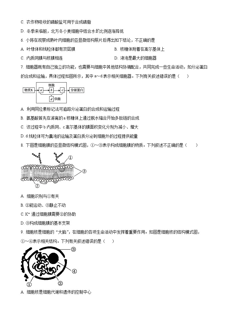 河北省张家口市2024-2025学年高一上学期期末考试生物试题  Word版无答案第2页