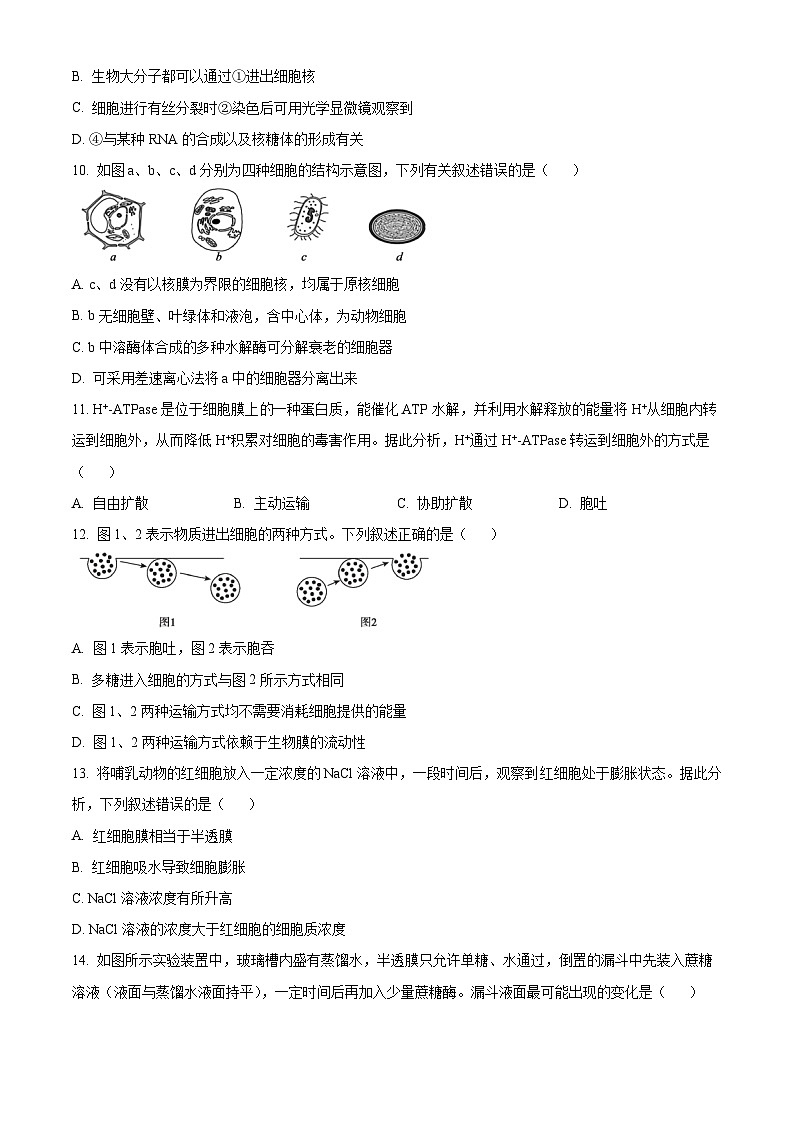 河北省张家口市2024-2025学年高一上学期期末考试生物试题  Word版无答案第3页