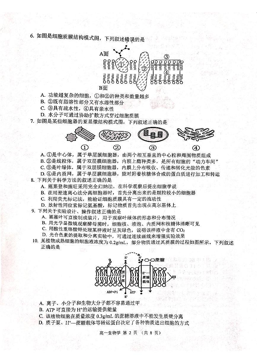 江苏省徐州市2024-2025学年高一上学期1月期末生物试题第2页