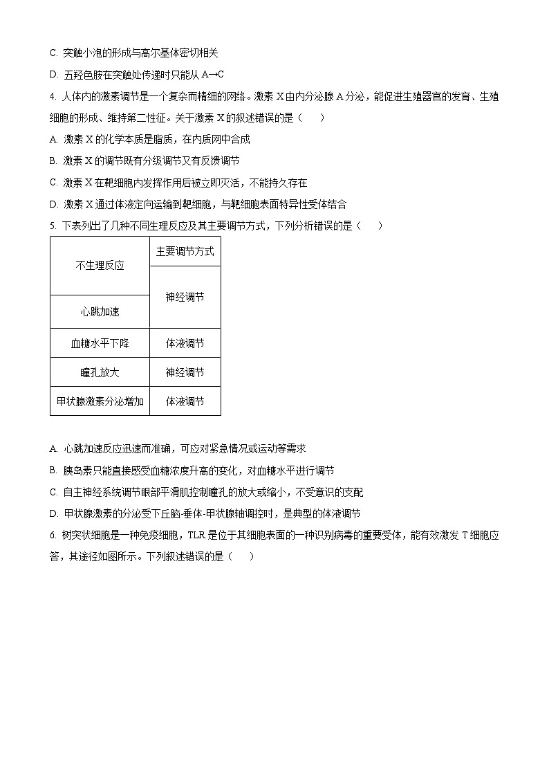 山西省吕梁市2024-2025学年高二上学期期末考试生物试题  Word版无答案第2页