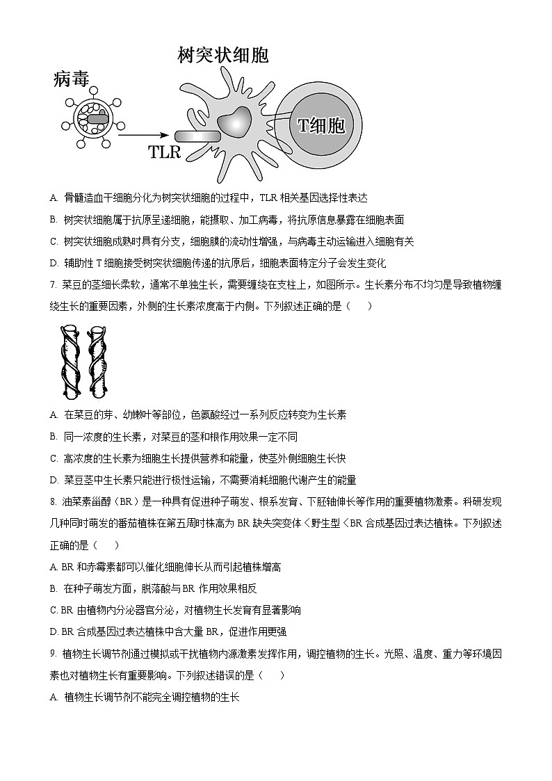 山西省吕梁市2024-2025学年高二上学期期末考试生物试题  Word版无答案第3页