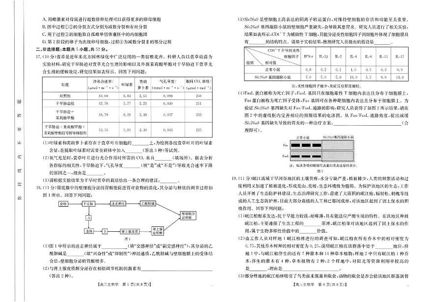 河南省新乡金太阳2025届高三高考模拟第二次模拟-生物试题+答案第3页
