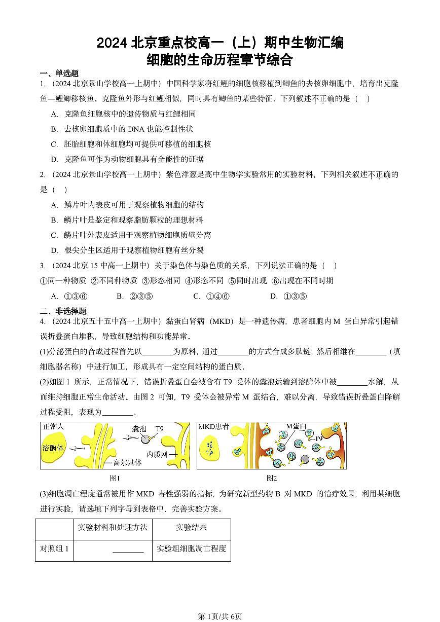 2024北京重点校高一（上）期中真题生物汇编：细胞的生命历程章节综合第1页