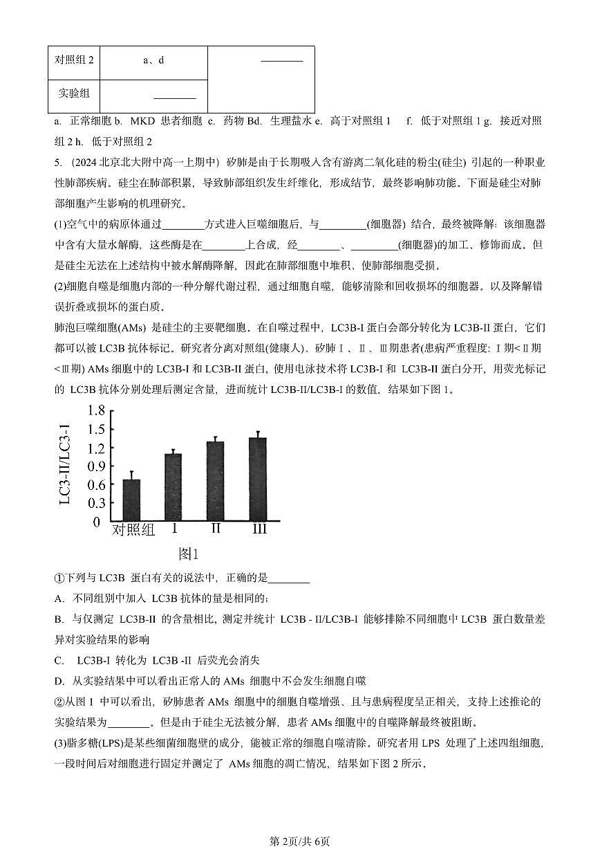 2024北京重点校高一（上）期中真题生物汇编：细胞的生命历程章节综合第2页