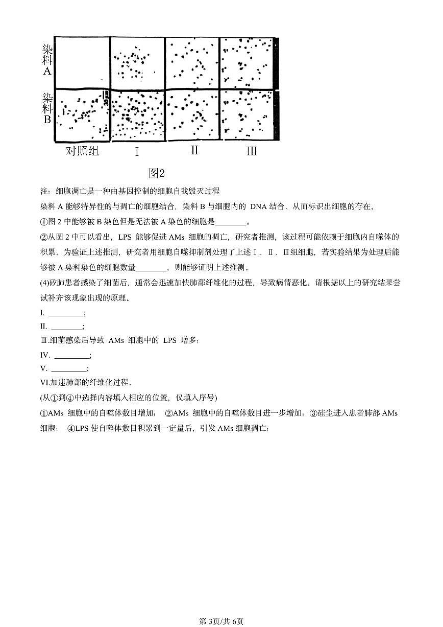 2024北京重点校高一（上）期中真题生物汇编：细胞的生命历程章节综合第3页