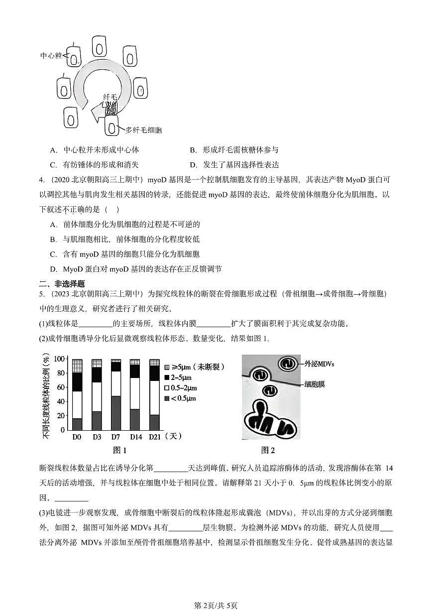 2020-2024北京重点校高三（上）期中真题生物汇编：细胞的分化第2页