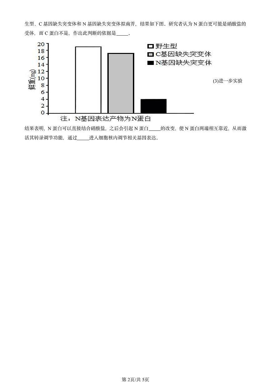 2020-2024北京重点校高三（上）期中真题生物汇编：核酸是遗传信息的携带者第2页