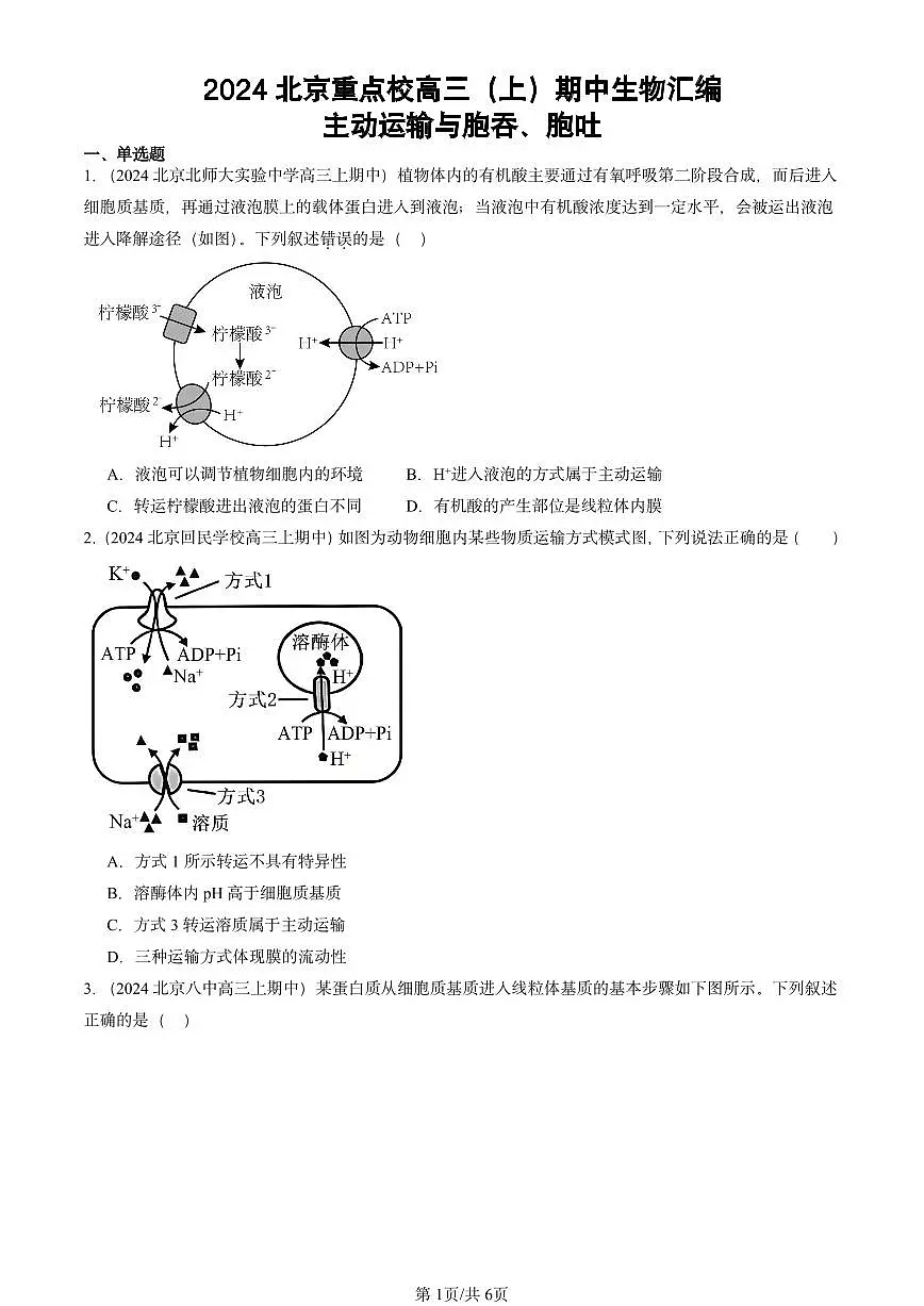 2024北京重点校高三（上）期中真题生物汇编：主动运输与胞吞、胞吐第1页