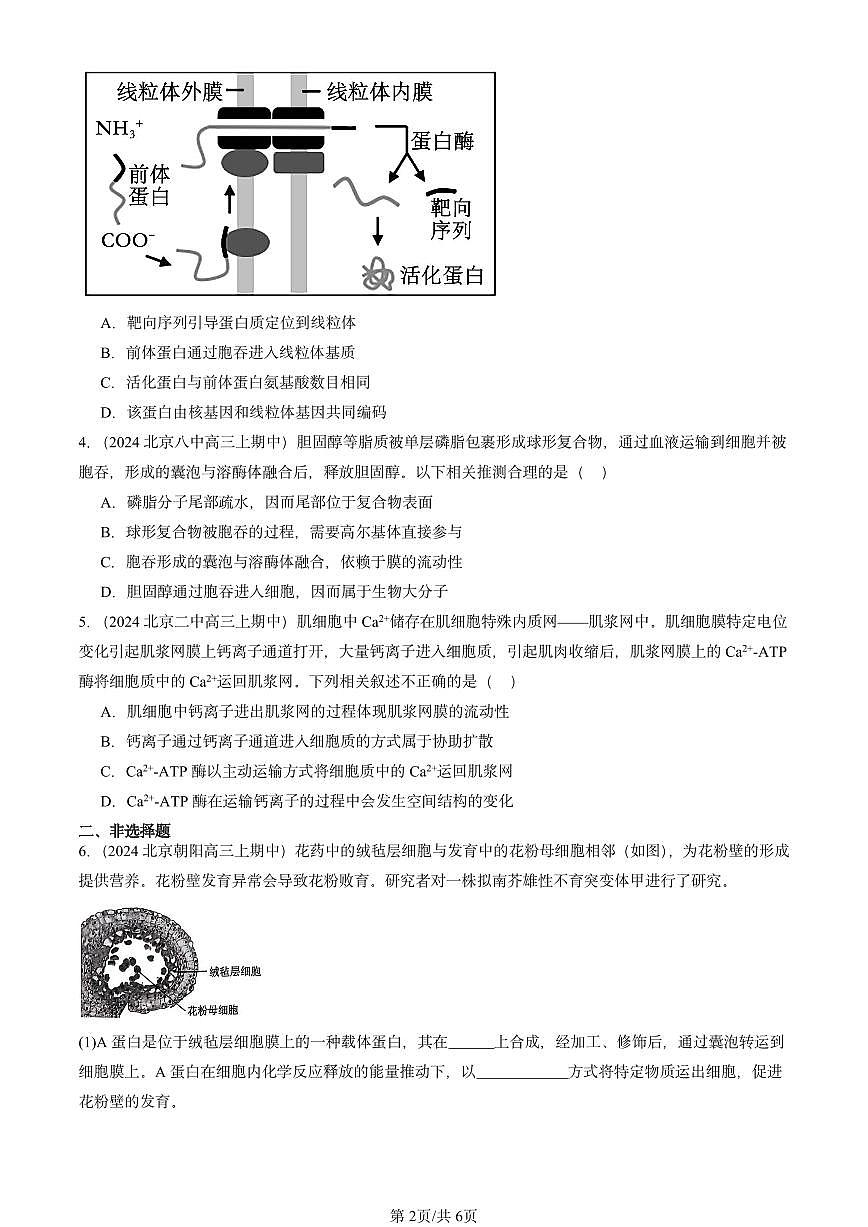 2024北京重点校高三（上）期中真题生物汇编：细胞的物质输入与输出章节综合第2页