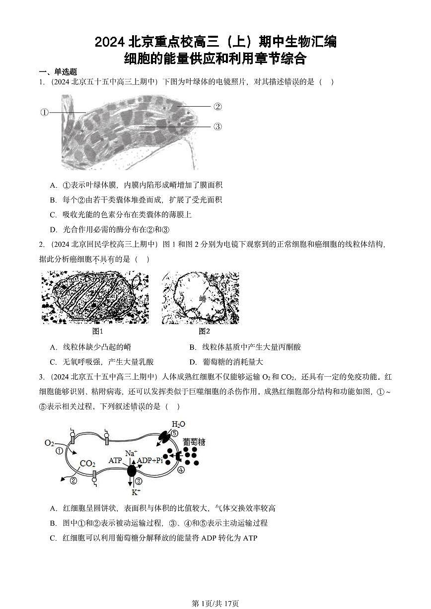 2024北京重点校高三（上）期中真题生物汇编：细胞的能量供应和利用章节综合第1页