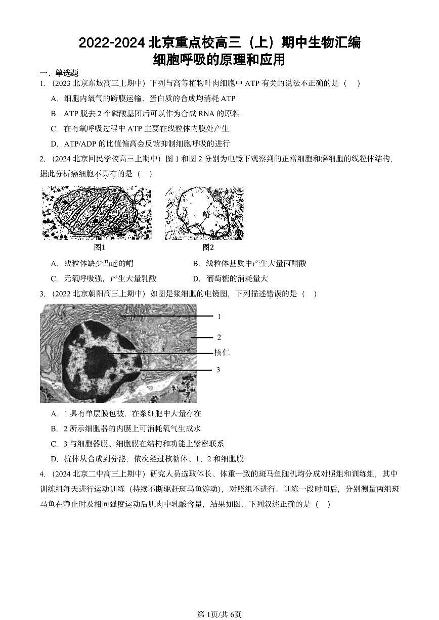 2022-2024北京重点校高三（上）期中真题生物汇编：细胞呼吸的原理和应用第1页