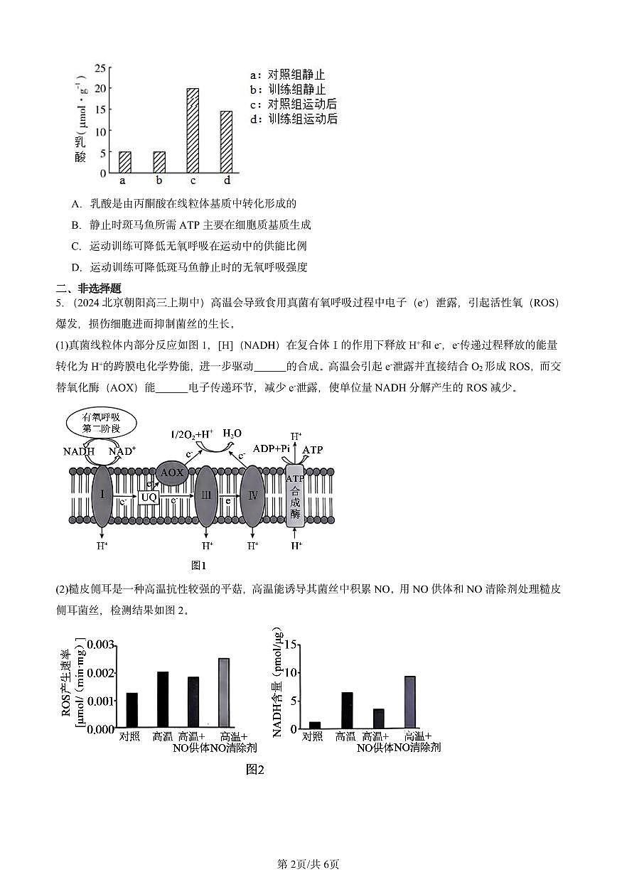 2022-2024北京重点校高三（上）期中真题生物汇编：细胞呼吸的原理和应用第2页