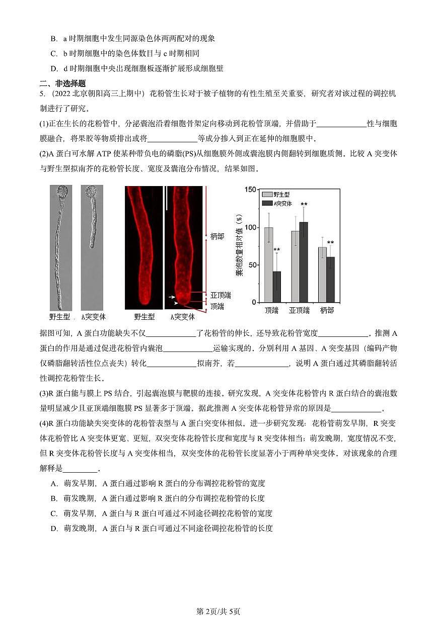 2022-2024北京重点校高三（上）期中真题生物汇编：细胞的增殖第2页