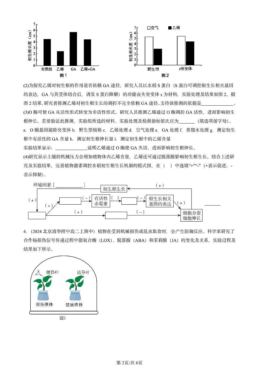 2024北京重点校高二（上）期中真题生物汇编：其他植物激素第2页