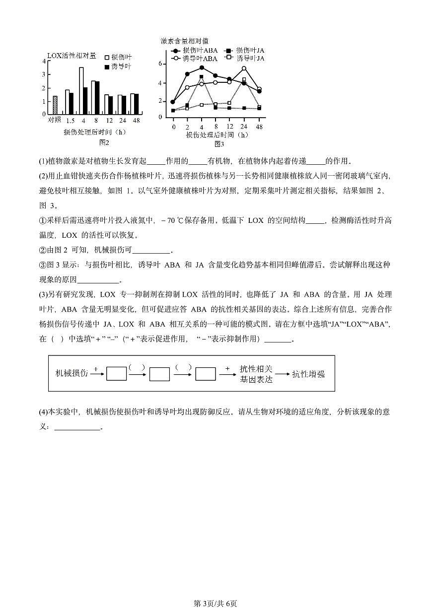 2024北京重点校高二（上）期中真题生物汇编：其他植物激素第3页
