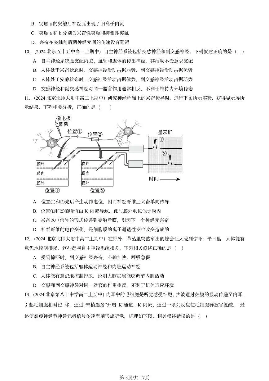 2024北京重点校高二（上）期中真题生物汇编：神经调节章节综合2第3页