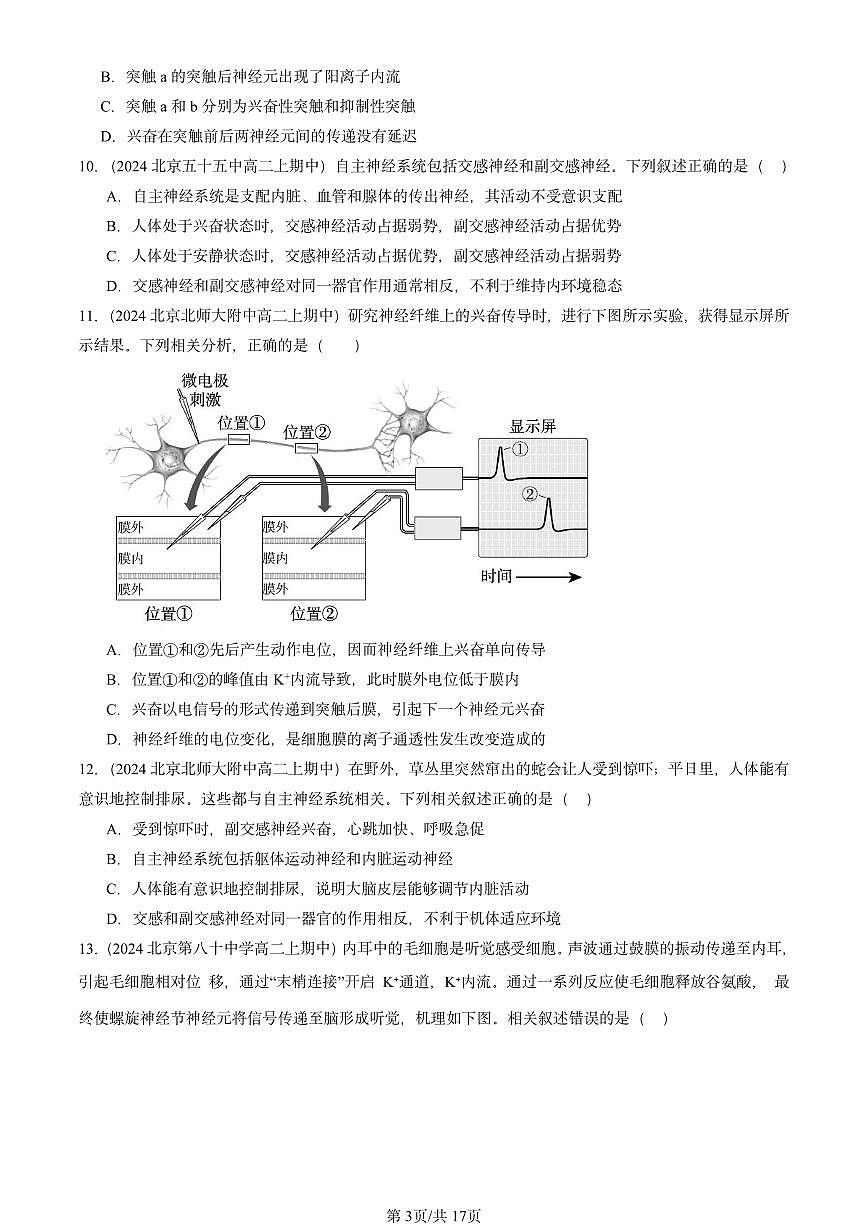 2024北京重点校高二（上）期中真题生物汇编：神经调节章节综合2第3页