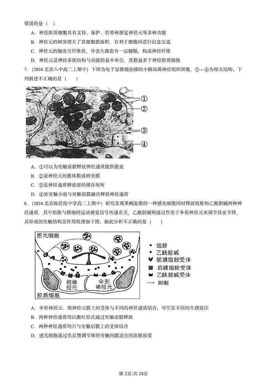 2024北京重点校高二（上）期中真题生物汇编：神经调节章节综合1第2页