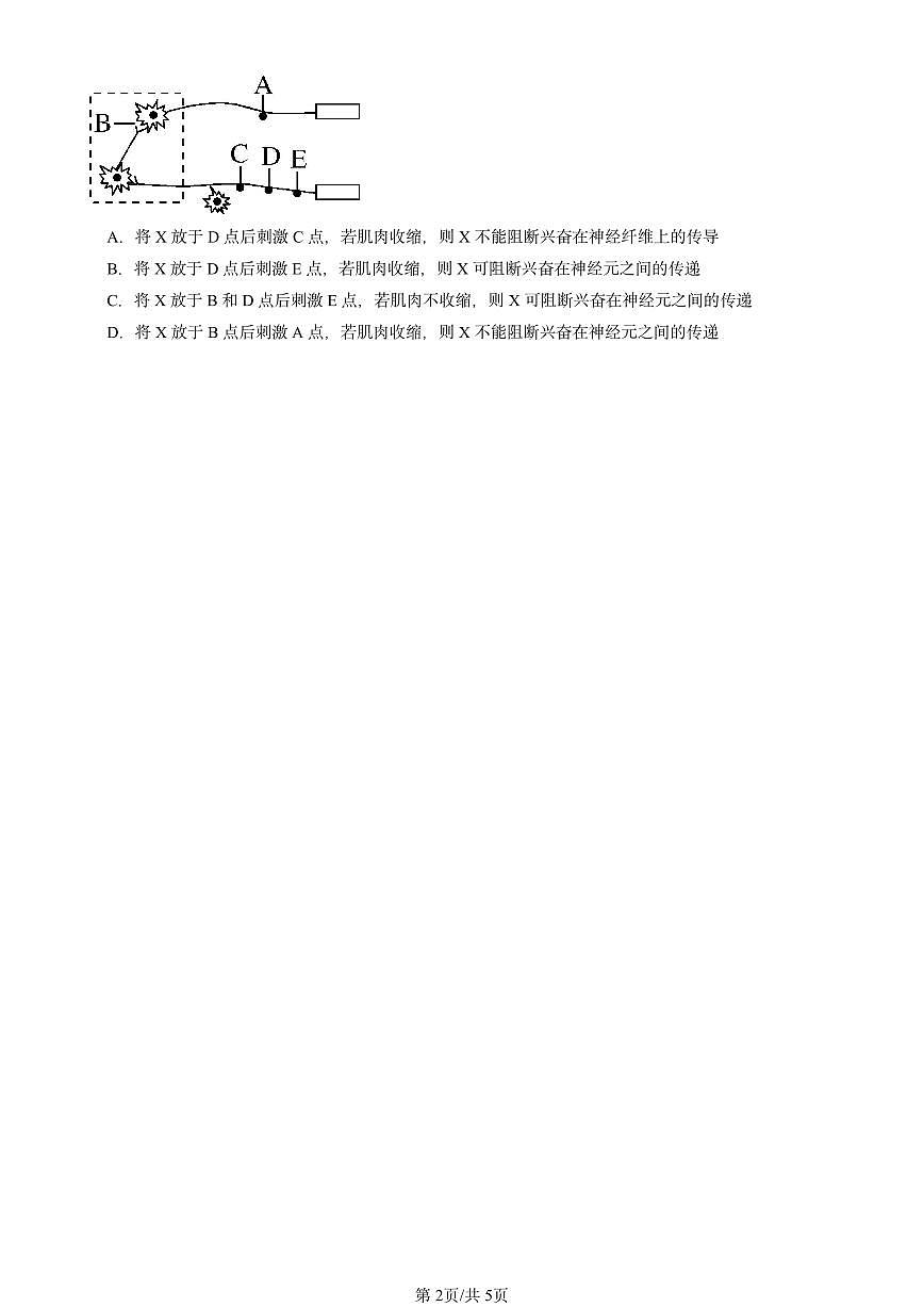 2024北京重点校高二（上）期中真题生物汇编：神经调节的结构基础第2页