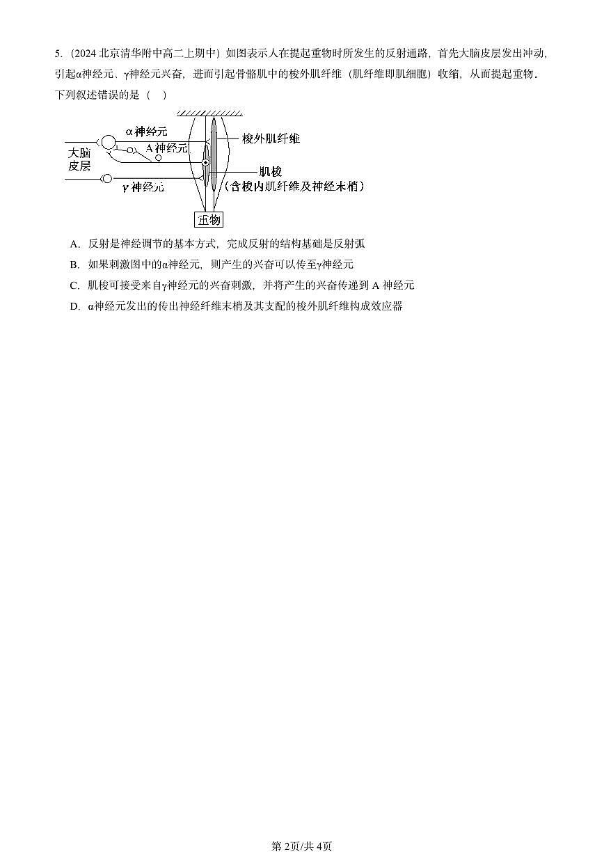 2024北京重点校高二（上）期中真题生物汇编：神经调节的基本方式第2页