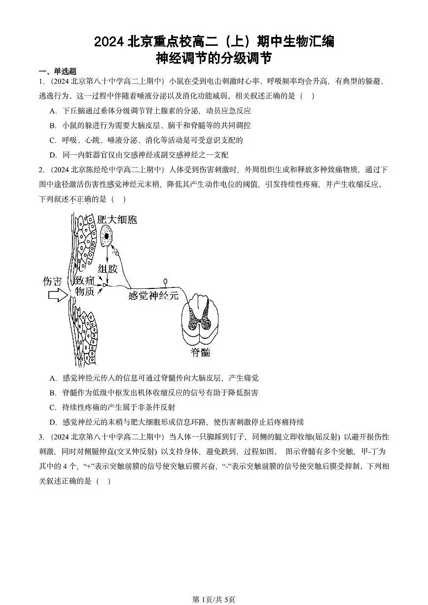 2024北京重点校高二（上）期中真题生物汇编：神经调节的分级调节第1页