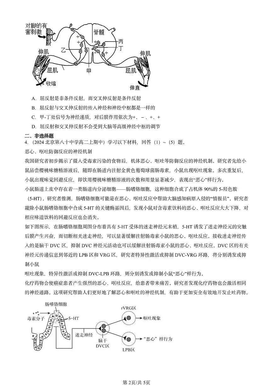 2024北京重点校高二（上）期中真题生物汇编：神经调节的分级调节第2页