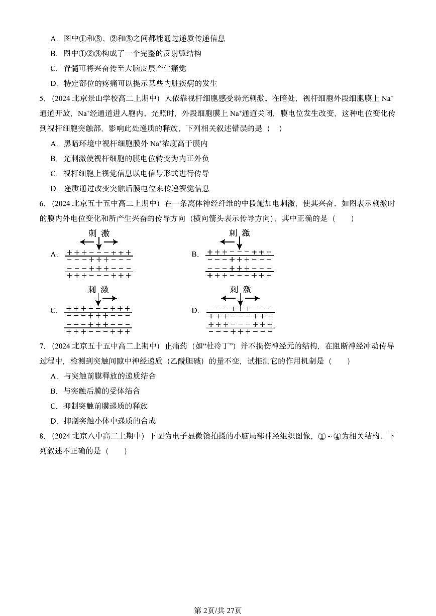2024北京重点校高二（上）期中真题生物汇编：神经冲动的产生和传导第2页