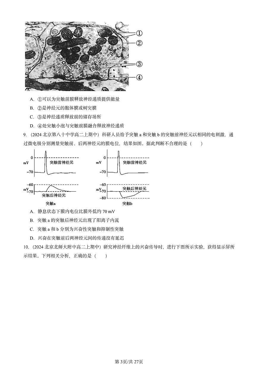 2024北京重点校高二（上）期中真题生物汇编：神经冲动的产生和传导第3页