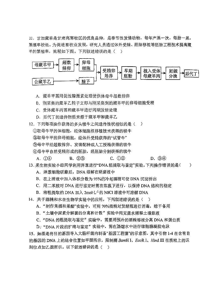 2025北京人大附中高二下学期4月月考生物试卷第3页