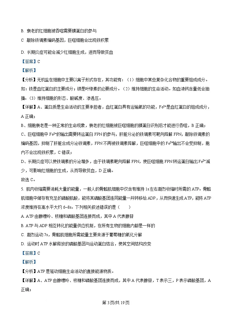 广东省2025届高三下学期一模生物试题 含解析第3页