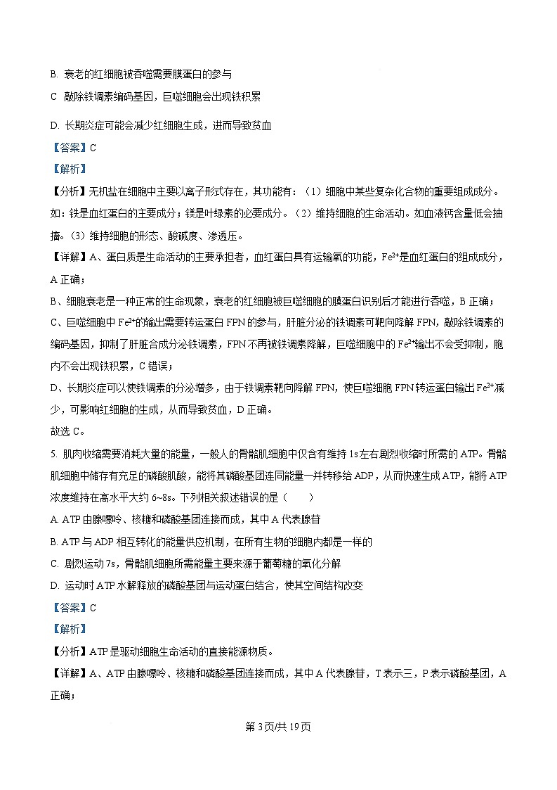 广东省2025届高三下学期一模生物试题 含解析第3页