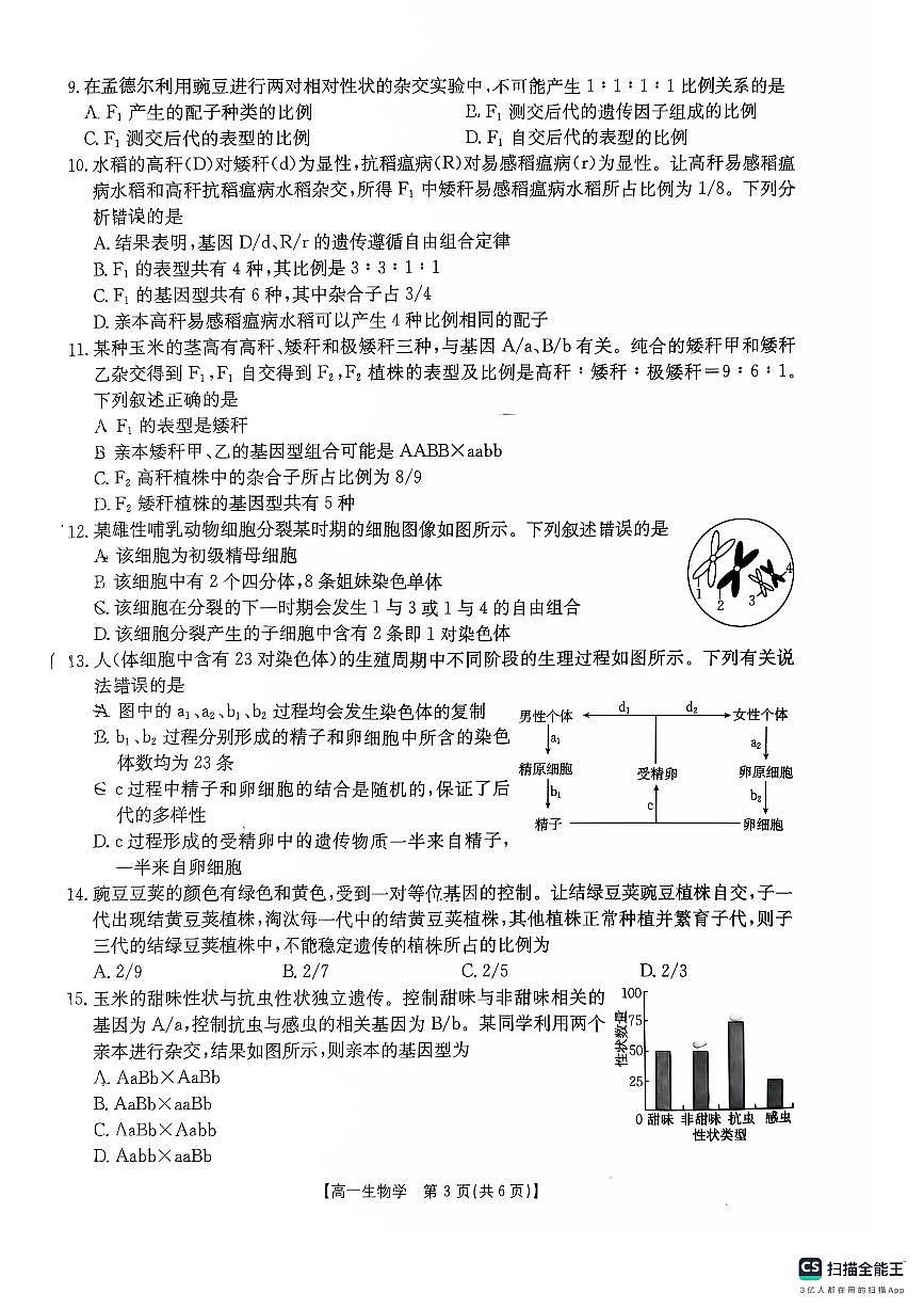 辽宁省部分学校2024-2025学年高一下学期4月月考生物学试卷第3页