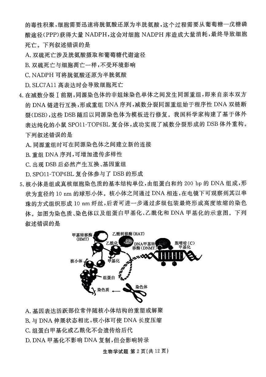 山东省德州市十校联考2025届高三下学期4月模拟考试 生物 PDF版含解析第2页
