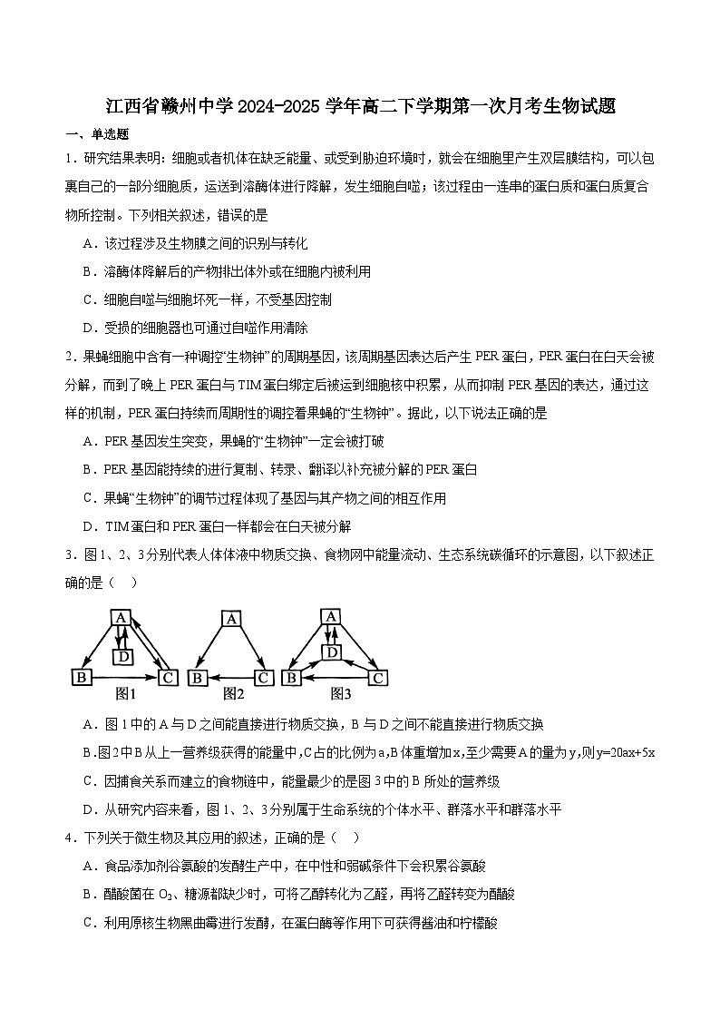 江西省赣州中学2024-2025学年高二下学期第一次月考生物试题（Word版附答案）第1页